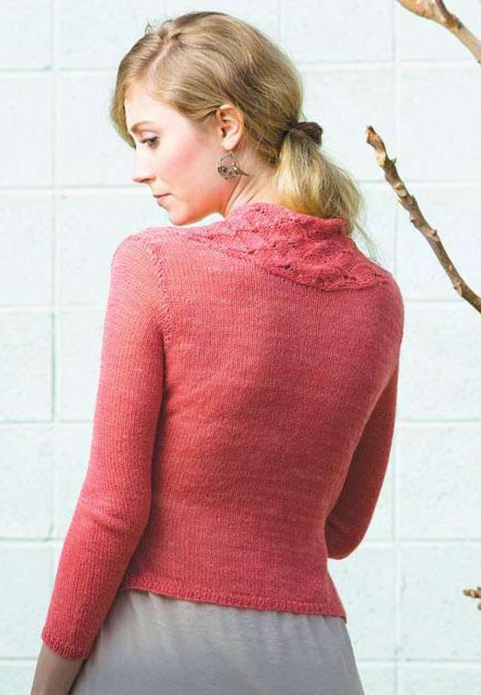 Lepidoptera_Cardigan1