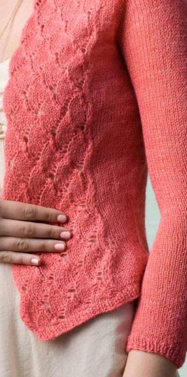 Lepidoptera_Cardigan2