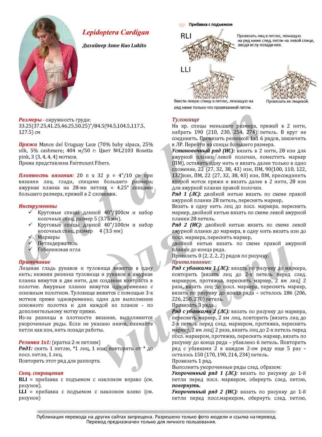 Lepidoptera_Cardigan3