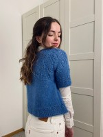 Женский пуловер с круглой узорной кокеткой