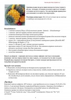 Ридикюль крючком ананас описание 1