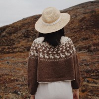 Пуловер с длинными рукавами спицами